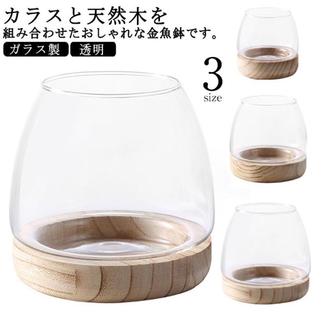 睡蓮鉢 丸 丸型 透明 ガラス製 メダカ鉢 水槽 クリア 天然木 鉢 ガラス