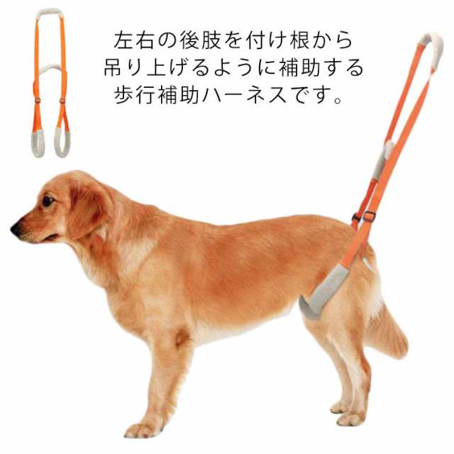 歩行補助 介護用品 ハーネス サポート シニア 犬 散歩 介助 老犬 後ろ足 高齢犬 歩行サポート安定性 小型犬 中型犬 大型犬 抜けない 関節 犬用品  ケアハーネス ペット用品 犬用介護ハーネスの通販はau PAY マーケット - コイスルウサギショップ | au PAY マーケット－通販 ...