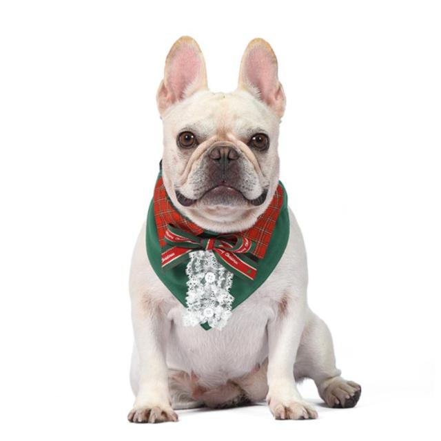 GUCCI フレンチブルドッグ スタイ よだれかけ GUCCI フレンチ
