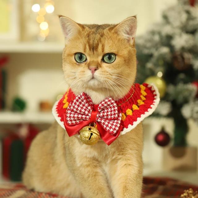 29番 犬用首輪 猫用首輪 小動物用首輪 よだれかけ 000000005150-06-l.jpg?t=