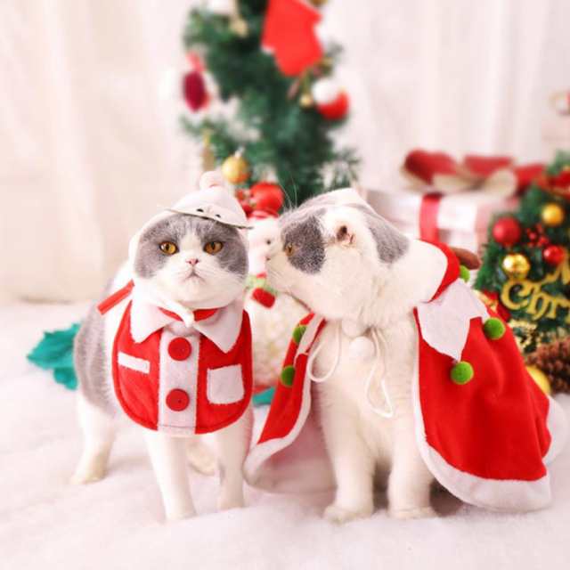 帽子 サンタ帽子 コスチューム 猫 サンタ クリスマスマント 犬服 猫用