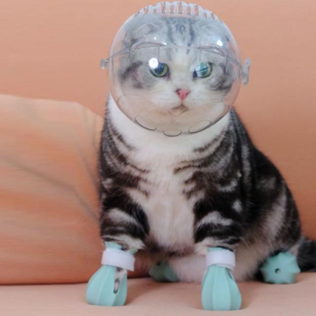 拾い食い防止 透明 猫用マスク 猫 猫用 エリザベスカラー 送料無料