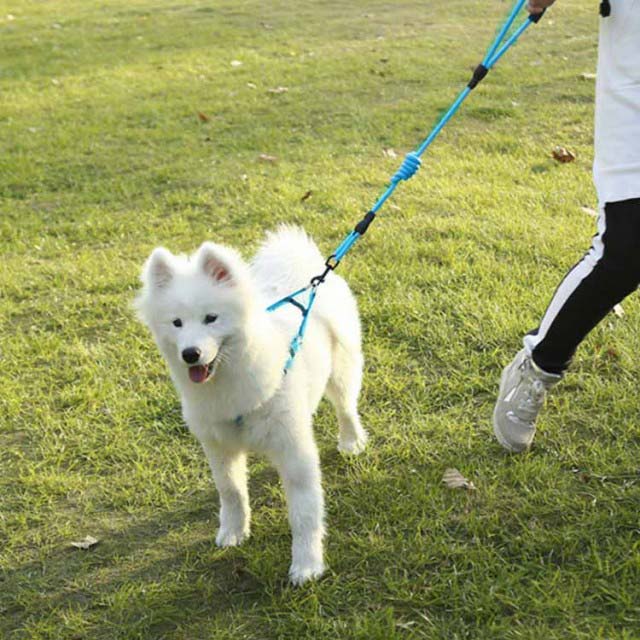 多頭飼い 犬用 ダブルリード 犬 二頭引きリード 大型犬 リード 便利 中型犬 2頭引き 小型犬 犬 いぬ ゴールデン レトリバー お散歩グッの通販はau Pay マーケット Freed
