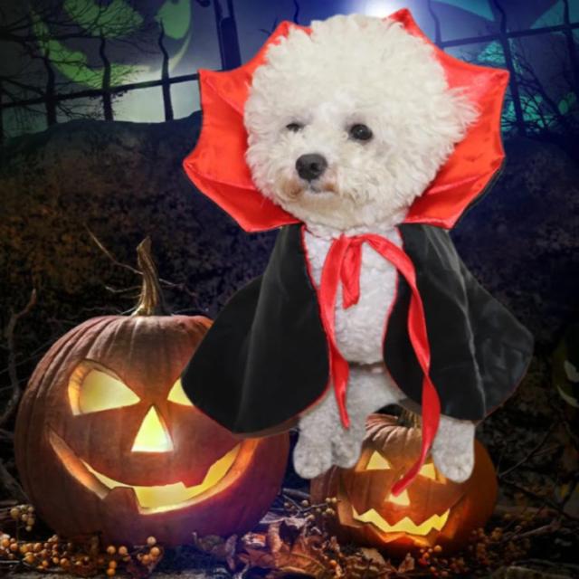 ハロウィン コスプレ 衣装 猫用 犬用 吸血鬼 ヴァンパイャ ドラキュラ