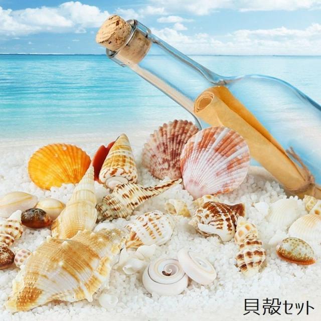貝殻セット 貝殻 200g入り アクアリウム アクアリウムデコレーション 