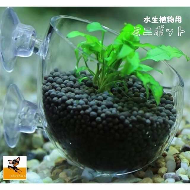 ミニポット カップ ミニ ホルダー 装飾 植栽 水生植物 熱帯魚 メダカ 金魚 水槽レイアウト アクアリウムグッズ 水槽用品 レイアウト用品 の通販はau Pay マーケット ココロ