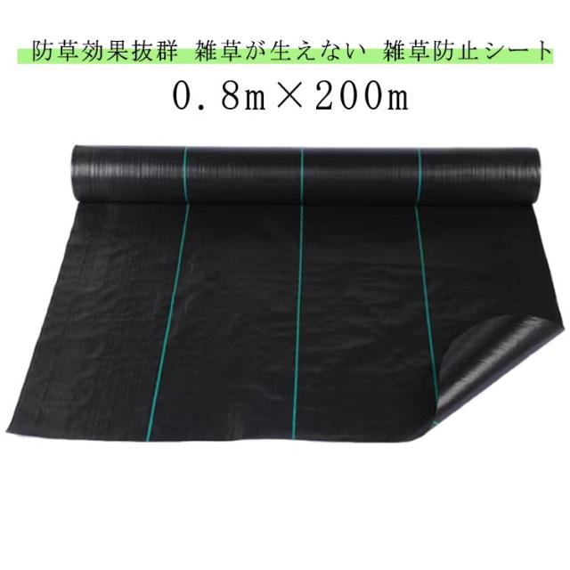 雑草シート 草シート 高耐久 高品質 除草シート 透水シート 防草 草刈り不要 送料無料 砂利下 高透水 雑草防止 雑草対策 草除けシート 草よけ 防草シート 防草シート 防草シート 除草 除草 雑草防止 砂利の下敷き 草抜き軽減 花壇の通販は