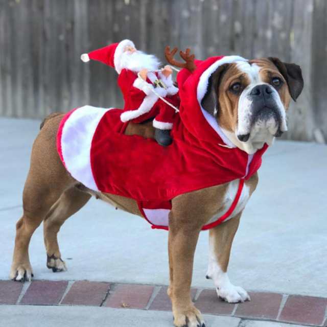 犬 猫 クリスマス衣装 サンタ コスプレ 着ぐるみ サンタクロースを