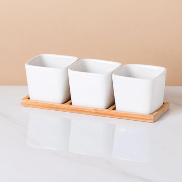 多肉植物 赤と緑 中型 四角鉢*3 赤と緑の多肉植物 四角形の鉢付き*3 1888bad92e6ec7d24f27d2b777dad7