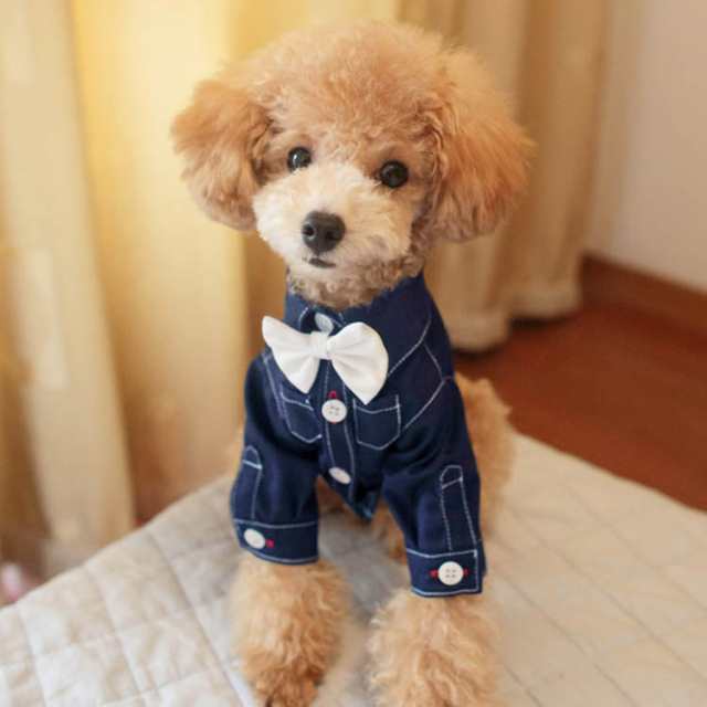 犬服PUERTO クラシカルシャツ1ハーフ&蝶ネクタイ セット 犬服