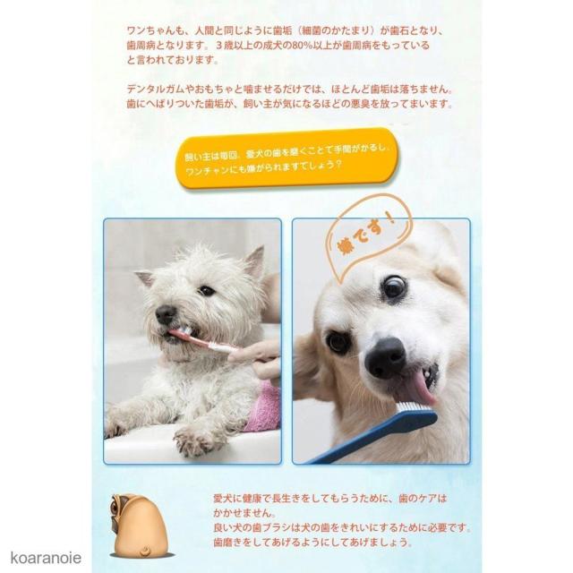 犬 歯磨き おもちゃ 犬歯ブラシ 改良版 ペット用 犬噛むおもちゃ 2個セット 犬 給餌器 餌入れ 子犬かむ玩具 犬用歯ブラシ デンタルケア用の通販はau Pay マーケット ナインスターストア