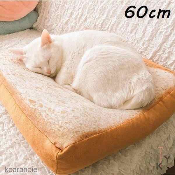 【アプリコット1点、ディープグレー1点】ペット用 クッション 60cm 猫