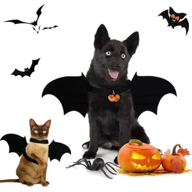 激レア ♡ 新品未使用 厚底 奇抜 派手 ハロウィン コウモリ パンプス サブカル 服 地雷系 通販 厚底靴 GURURU オリジナル パンク PU