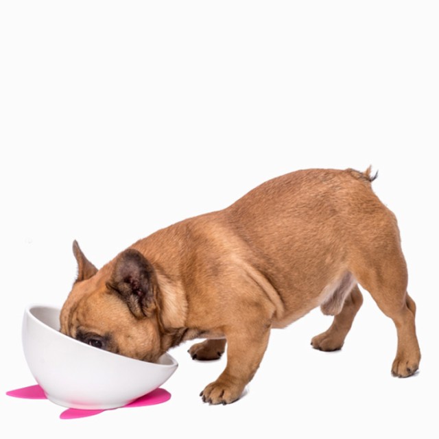 犬 食器 陶器 犬用 犬用品 食事 皿 いぬ フレンチブルドッグ 専用