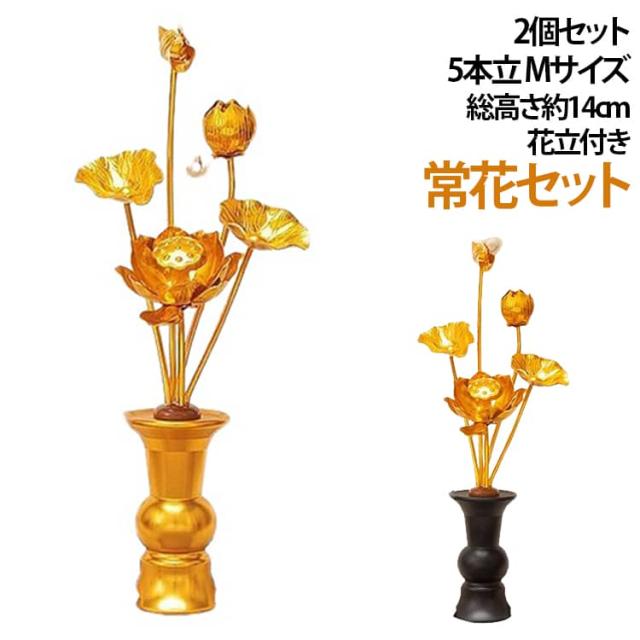 常花セット はすはな ミニ 総高24cm 花立 仏壇 5本立 常花 お仏壇用仏具 蓮花 新盆 小常花 総高24cm 蓮華 宗教用品 花立付き 冠婚葬祭 2個セット お盆 命日 飾り お供え 盂蘭盆会 初盆 仏具 祭壇 祭り お盆用品 お彼岸 7,847円
