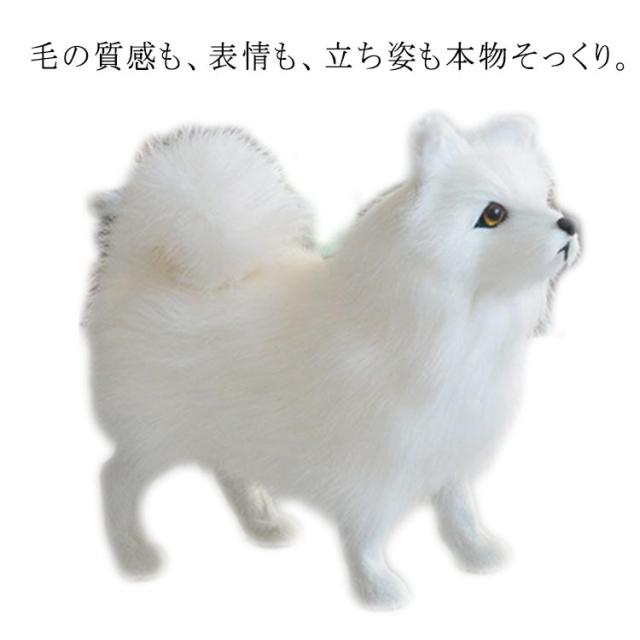犬　チン　ラビットファー　リアルファー　KOBAYASHIぬいぐるみ　ぬいぐるみ 犬 ぬいぐるみ リアル 本物 そっくり かわいい サモエド犬