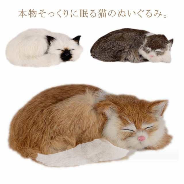 猫ぬいぐるみ 本物そっくり ハンドメイド SNSで話題! ラグドール猫/三