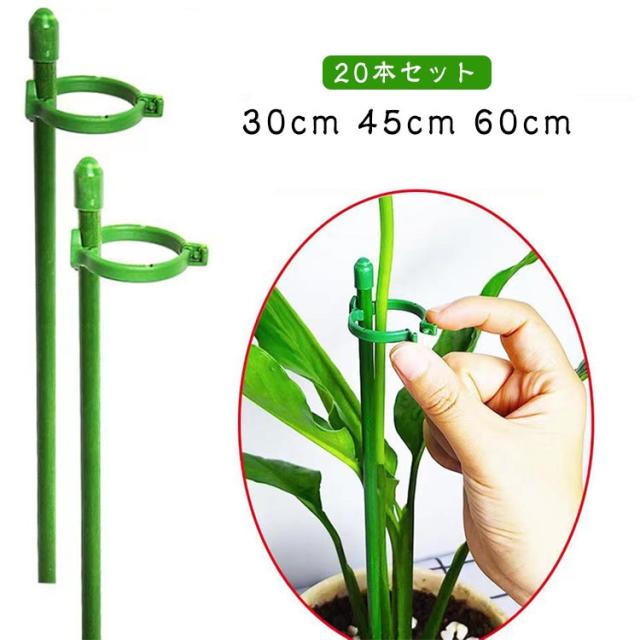 20本セット 園芸用 花ささえ 支柱 30cm 45cm 60cm 観葉植物 ガーデニング 植物支柱 フラワースタンド つる性植物 園芸支柱 フラワー支柱 観葉支柱 植物サポート フラワー支柱 簡単設置 野菜用 園芸用品 背の高い花 誘引 支柱 観賞植物用 園芸用 農業用 グリーン