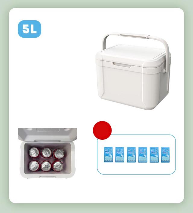 クーラーボックス 小型 ハード 5L 保冷剤付き 4色 釣り 部活 おしゃれ ピクニック 氷 保冷