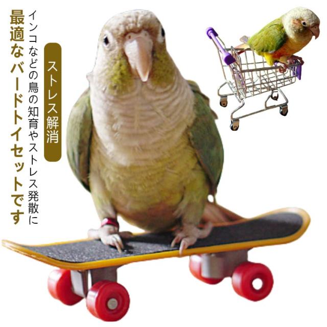 鳥 スケートり物 鳥玩具 ミニ おもちゃ ストレス解消 立て ペット用品 バードトイ インコ 訓練知育玩具 訓練 知育 玩具 強化された運動 スケートボード おもちゃ 鳥玩具 オウム 文鳥 スケボー