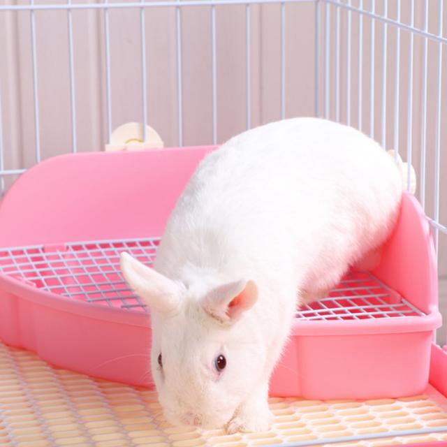 ラクラク取付 うさぎの三角トイレ コーナー設置型 小動物 トイレ