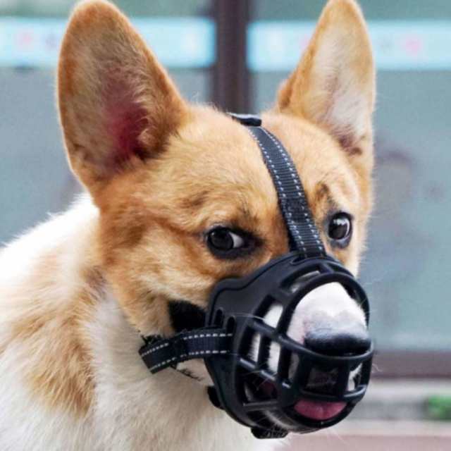 犬 口輪 しつけ用マズル 小型犬 中型犬 大型犬 通気性 噛みつき防止 無駄吠え防止 軽量 柔軟 やわらか プラスチック サイズ調整 外れにくい お散歩 外出 拾い食い予防 傷舐め予防 ペットマスク 蒸れにくい 犬用品 安心 安全 水分補給可能