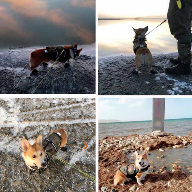 ライフジャケット 迷彩柄 骨柄 中型犬 大型犬 犬用ライフジャケット