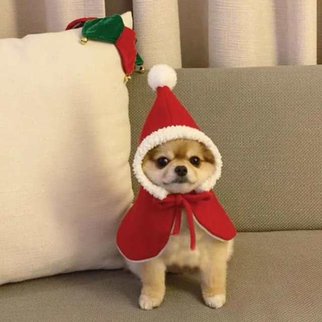 猫 犬服 クリスマス 衣装 サンタ帽子 コスプレ 変装 ドッグウェア
