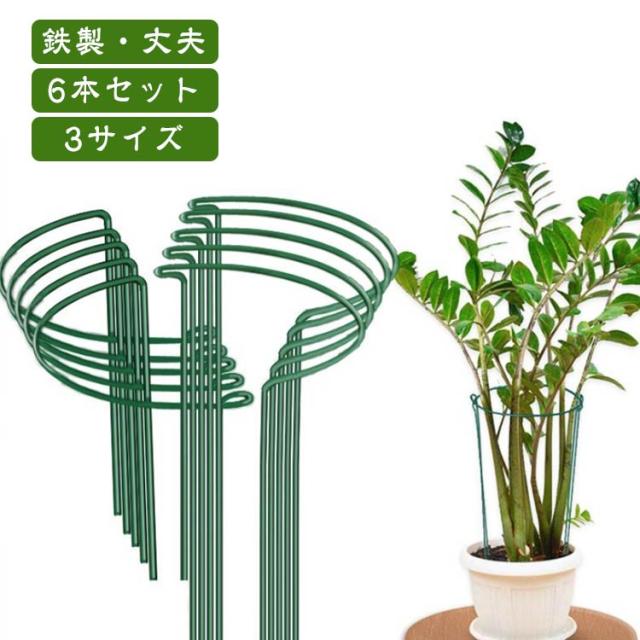 【6本セット】花 園芸支柱 フラワーガード 観葉支柱 植物支柱 ガーデニング 園芸用支柱 支柱 園芸用品 植栽 観葉植物 家庭菜園 ジョイント不要 【6本セット】花 支柱 形 園芸用品 背の高い花 植物サポート 誘引 支柱 観賞植物用 野菜用 園芸用