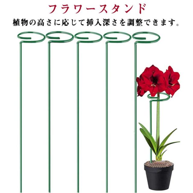 35cm ガーデニング 倒伏防止 固定 支柱 道具 サポート プランター 55cm DIY 園芸用品 10個セット 45cm アイアン 蝶 ラック ガーデニング 保護 ユリ 蘭 バラ 室内 観葉植物 屋外 植物 栽培 家庭菜園 植物サポート