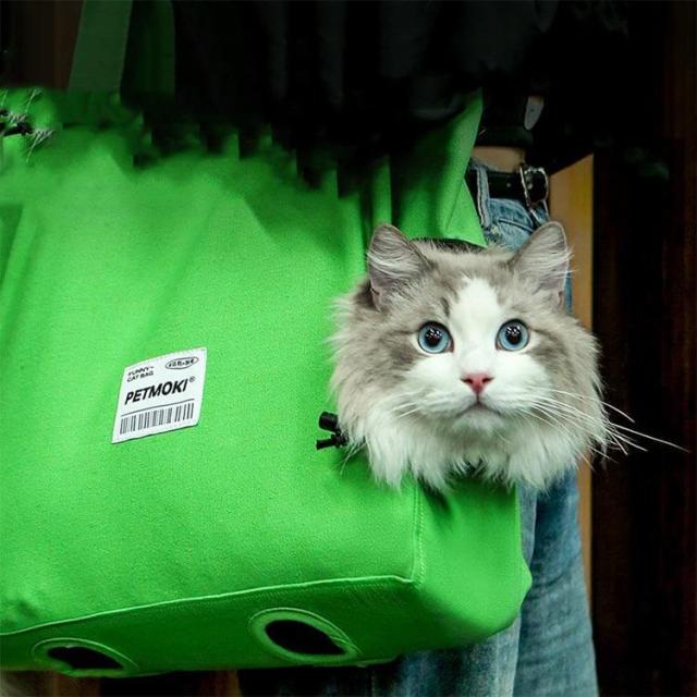 こいちゃん　アニエスベーボヤージュ　キャリーバッグ こいちゃん様専用 アニエスベーボヤージュ キャリーバッグ