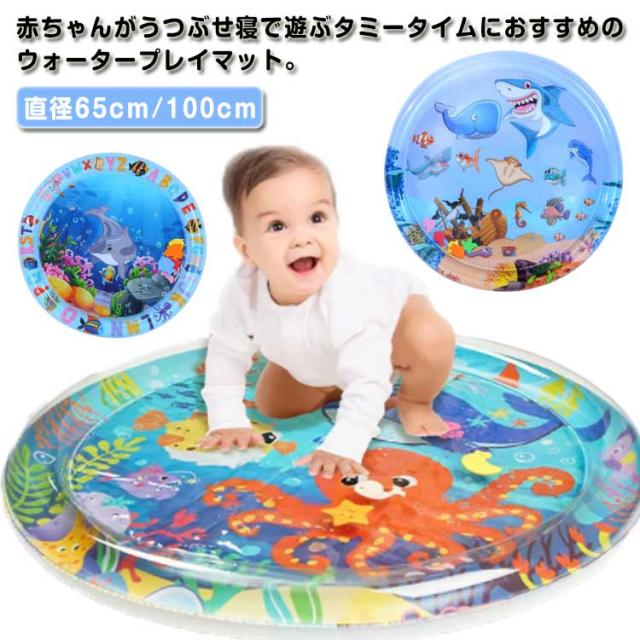 PTS製 ダミーサイドプレート 6in x 6in 2枚セット　JPC　SAPI PTS: DUMMY PLATE SIDEPLATE（サイドプレート） - フォートレス WEB