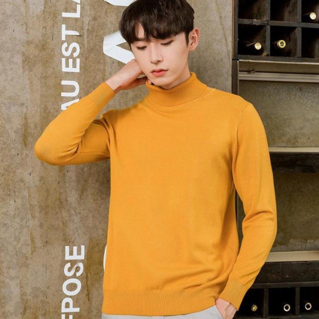 カラフル12色展開 ニット セーター メンズ タートルネック リブニット