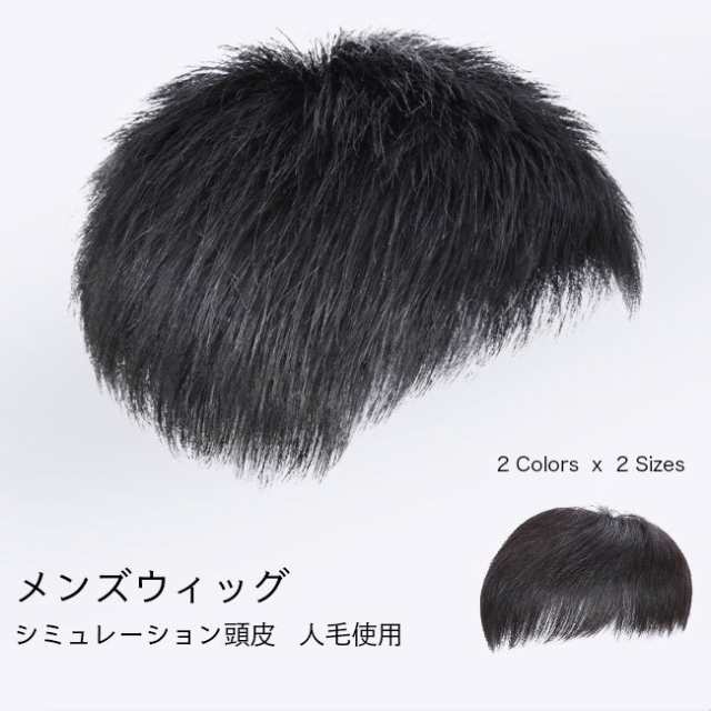 かつら メンズ ウィッグ 自然 セルフ増毛 人毛 部分ウィッグ 男性 薄毛対策 カツラ ショート エクステの通販は
