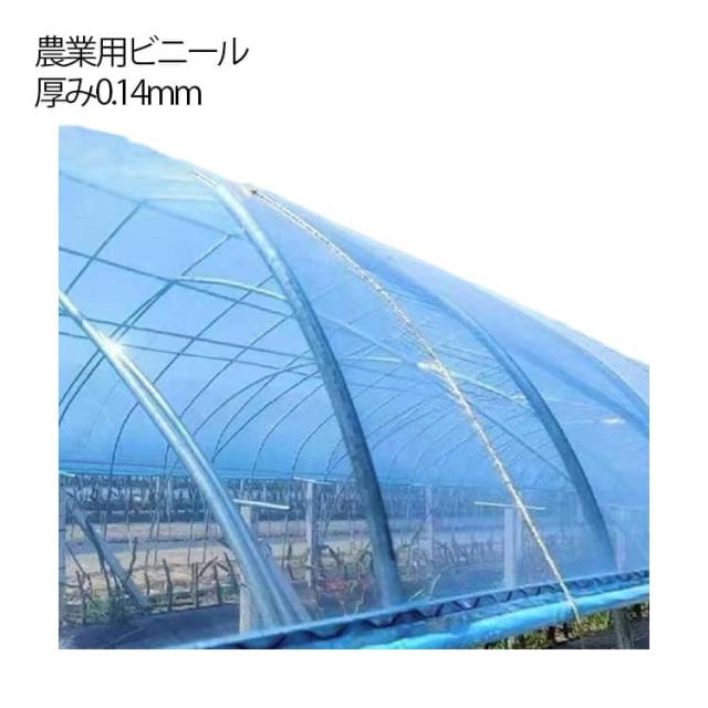 栽培 温室 幅6m 農ビ ビニールハウス 農業用ビニール 農業用ハウス ハウスビニール 農業用フィルム 温室フィルム 農業用 園芸用品 園芸用 家庭菜園 農園 屋根用ハウスビニール 屋根ビニール 長さ10m 農PO 送料無料 苗の保温 厚み0.14mm 6,431円