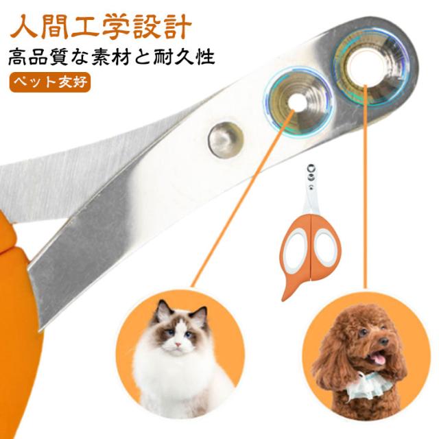 (まとめ) コロル猫のツメみがき/ペット用品 〔詰め替え用 2個入り〕 天然またたび粉末×2袋付き 〔×20個セット〕