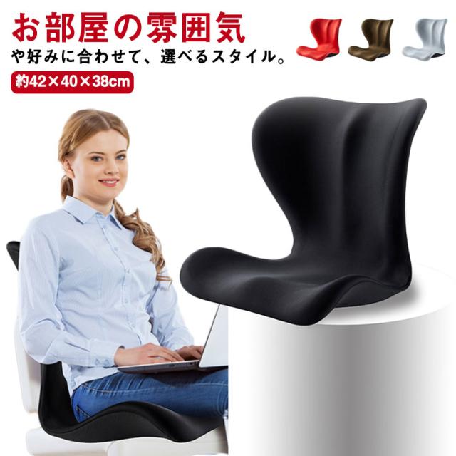 姿勢サポートチェア 負担軽減 骨盤サポート 猫背 腰痛 デスクワーク テレワーク 姿勢補正 クッション座ぶとん 低反発クッション 座布団 骨盤矯正 姿勢矯正 坐骨 痔 クッション 通気性の通販は 9,020円