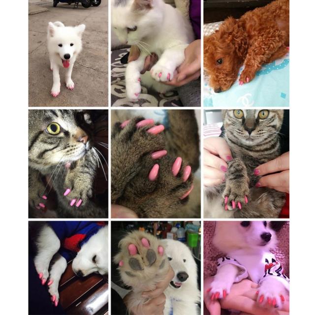 5paペット猫ネイルキャップ猫足グルーミング爪爪キャップカバーlグリーンの通販はau Pay マーケット ココロ