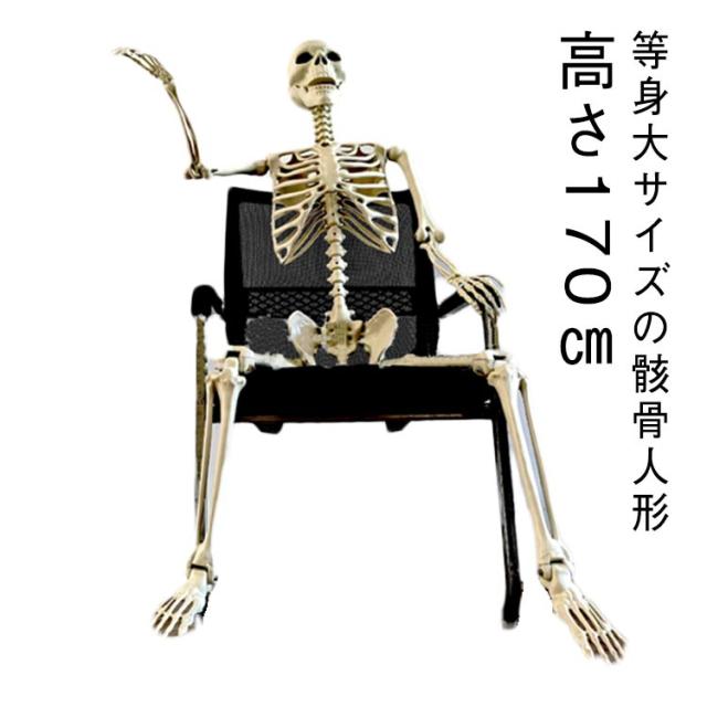 高さ170cm 等身大 ドクロ 髑髏 ハロウィン 飾り 骸骨 白骨 置物
