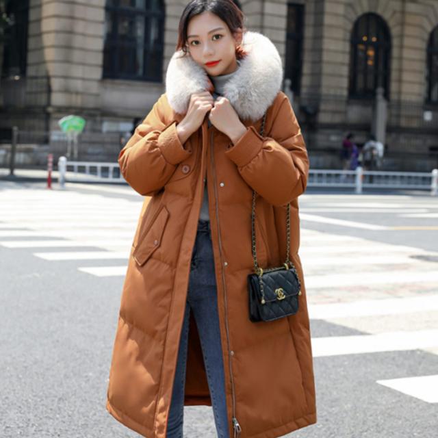 ダウンジャケット レディース 冬 ダウン 中綿 きれいめ ショート アウター 秋冬 ショート丈 立ち襟 スタンドカラー ポケット あったかい あたたかい レディース 暖か ダウン きれいめ シンプル おしゃれ 今季 冬