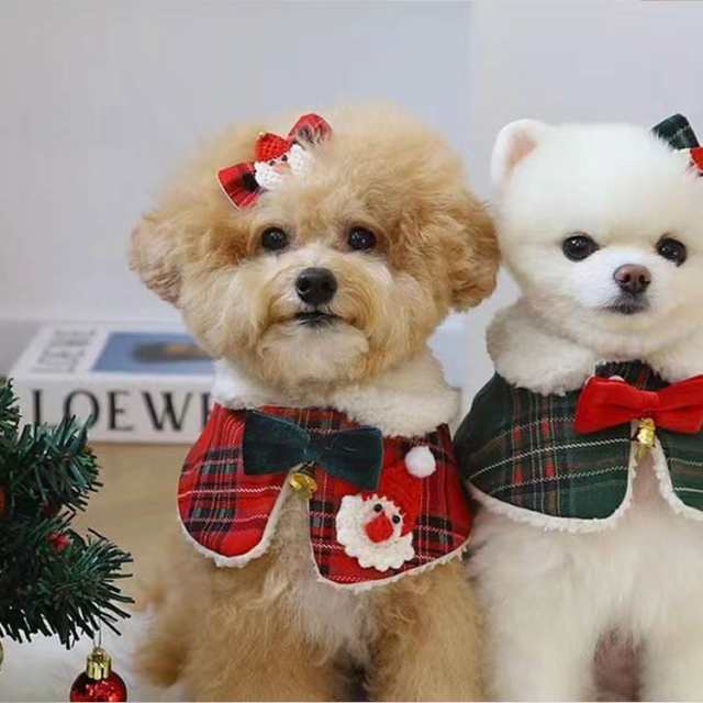 冬 犬服 クリスマス マント ヘアピン 2点セット ドッグウェア S M L