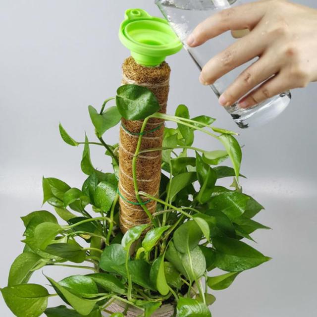 植物支柱 3本セット 園芸支柱 モンステラ支柱 30cm 40cm 50cm 鉢植え 観葉支柱 ガーデニング用 支柱 おしゃれ つる性植物 天然ココナッツの通販はau Pay マーケット 蓮商店