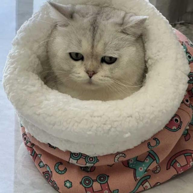 ペットベッド もこもこ 洗える 猫用 秋冬 猫ベッド ペット用寝袋 猫