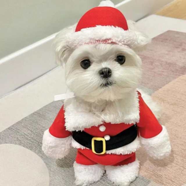 クリスマス コスプレ 犬服 サンタクロース 猫服 コスチューム 正月 犬