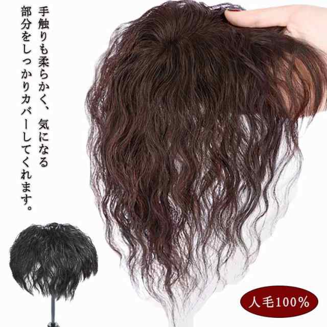 白髪隠し 部分ウィッグ ヘアピース 人毛100％ トップカバー 頭頂部