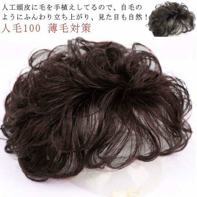 黒 頭頂部薄毛隠しウィッグ 人工毛(公式】私元気ウィッグ専門店 黒 頭頂部薄毛隠しウィッグ 人工毛(公式】私元気ウィッグ専門店