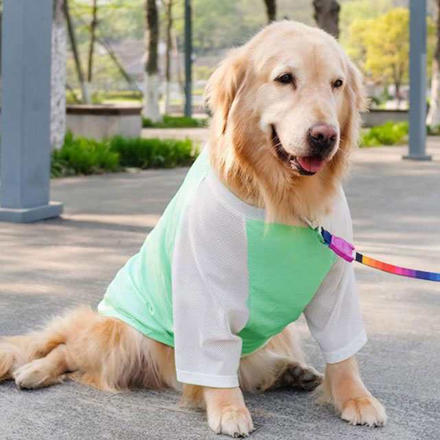 大型犬 服 クール 夏 冷感 サマー メッシュ Tシャツ 大型犬 中型犬 超大型犬 手 犬の服 爽やか ビッグｔシャツ 送料無料の通販はau Pay マーケット ナギストア