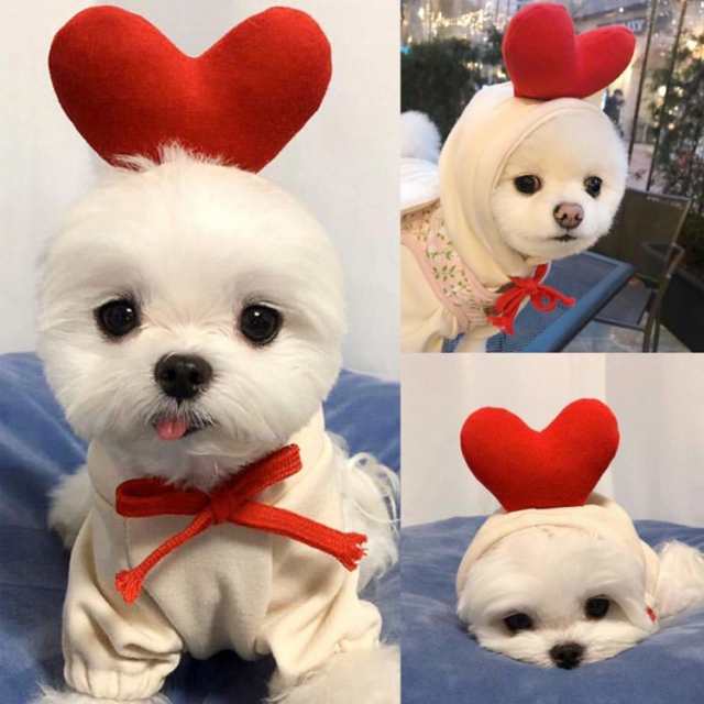 犬 コスプレ コスチューム ペット 犬服 パーカー りんご にんじん バナナ ペット服 クリスマス 犬服 犬用 小型犬 暖かいドッグウェア  フの通販はau PAY マーケット - ゆずちゃんshop | au PAY マーケット－通販サイト