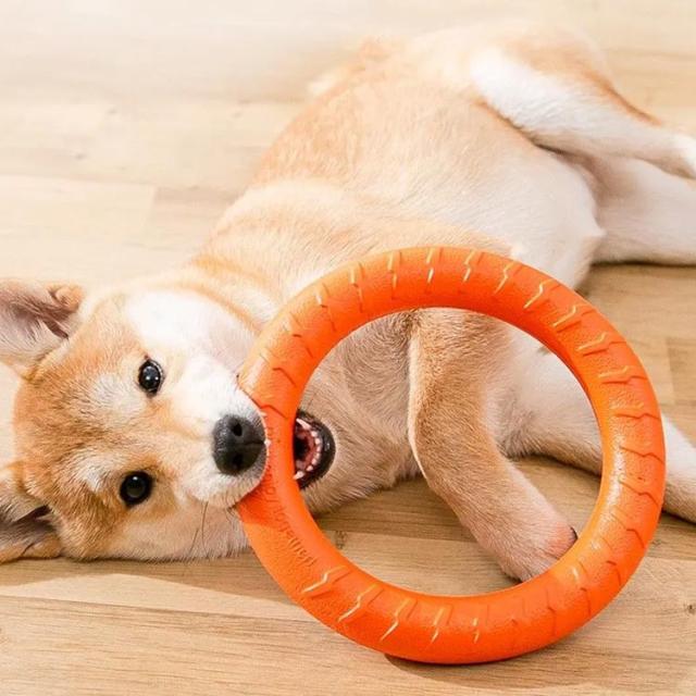 犬 犬用 おもちゃ 輪 リング 丈夫 頑丈 小型犬 中型犬 ペット
