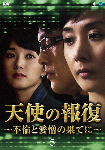 天使の報復 〜不倫と愛憎の果てに〜 DVD-BOX5/イ・ウンギョン[DVD]【返品種別A】